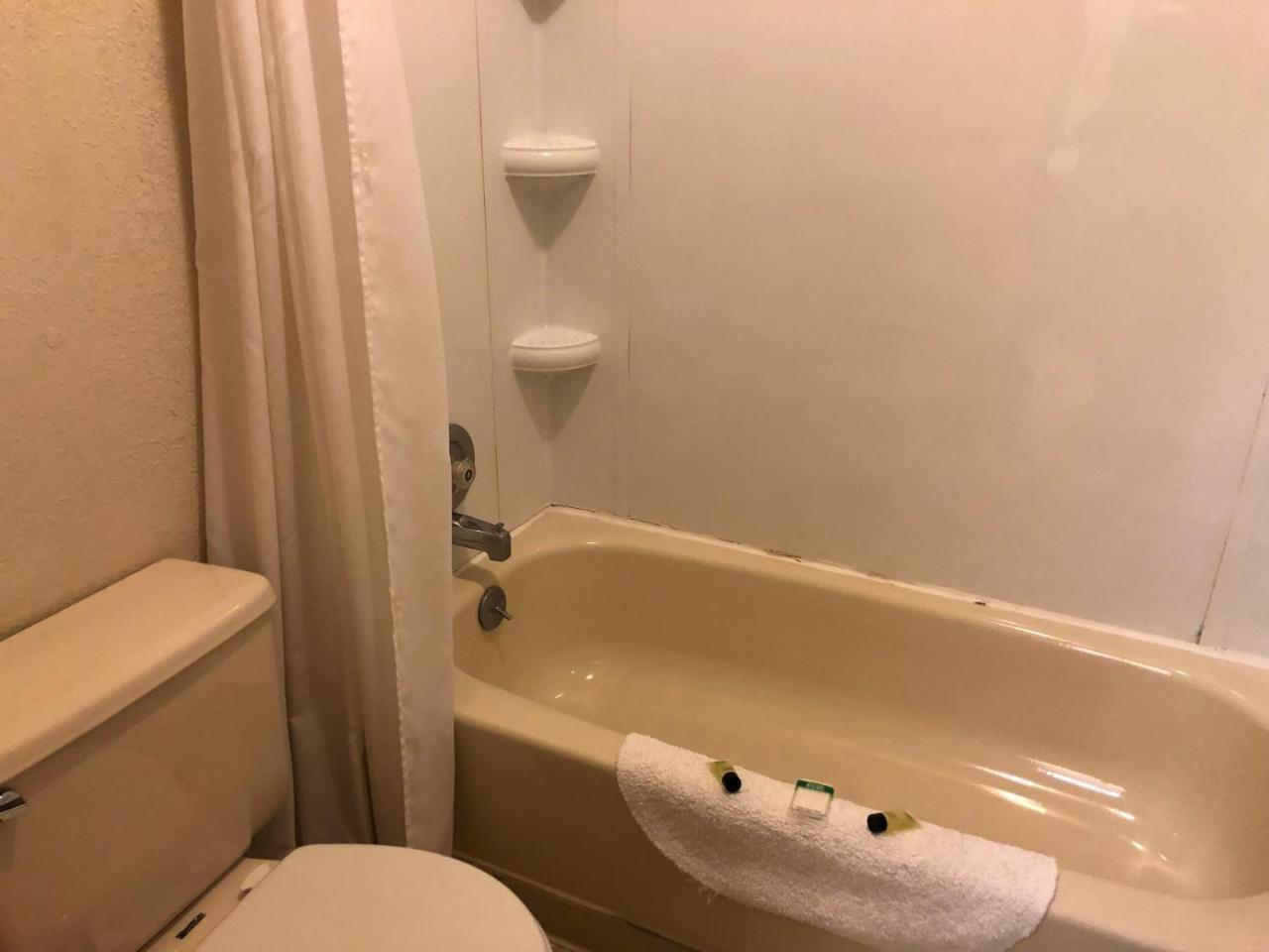 טוק The Golden Bear Motel מראה חיצוני תמונה